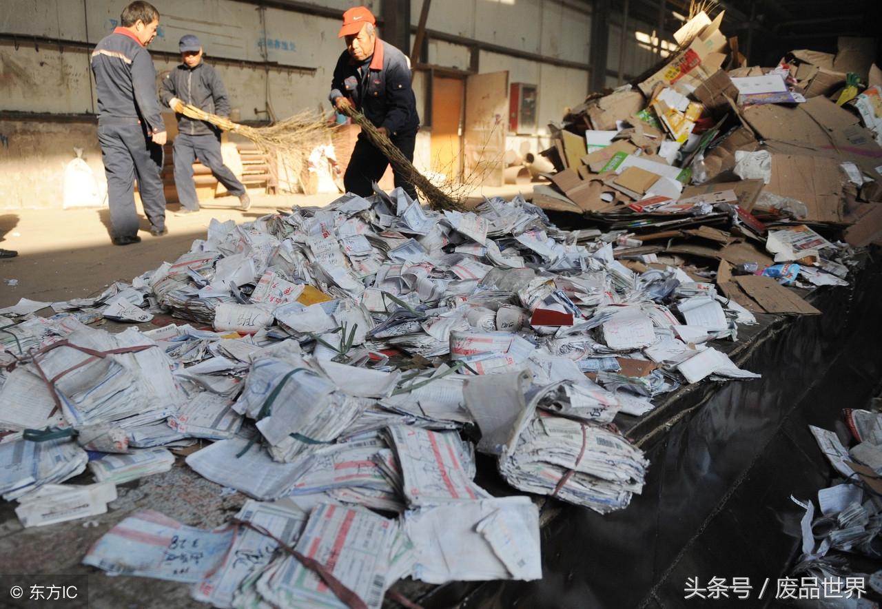 废纸最新行情，时代变迁中的行业繁荣与趋势展望