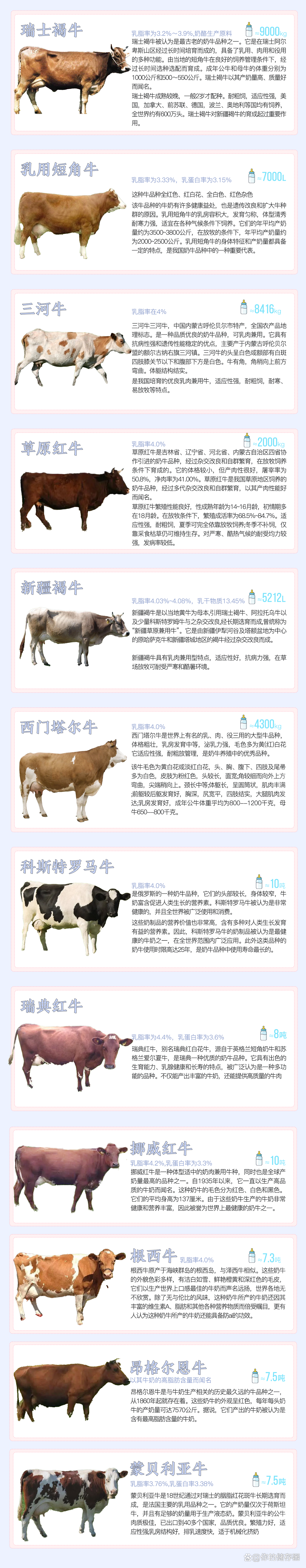 最新肉羊品种的选择、养殖与管理全攻略