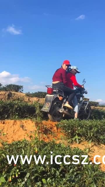 Beautyleg avril最新，自然美景之旅，探寻内心平静之旅