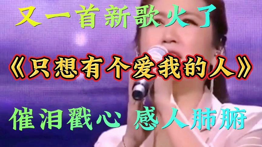 最新感人歌曲，详细寻找与欣赏指南