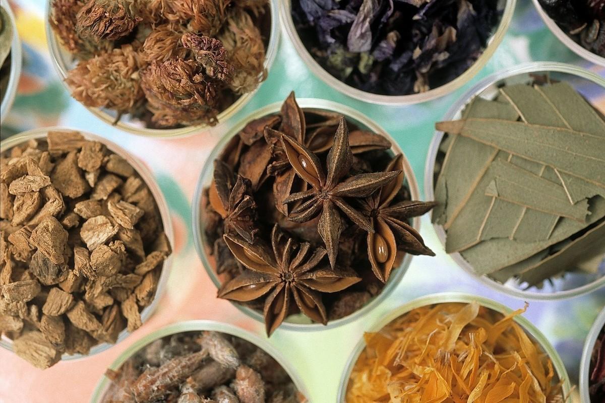 苍术最新行情与温情之旅,友情与陪伴的温馨故事