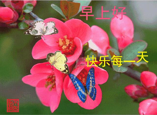最新服装版，时尚之旅与友情的纽带展现风采时刻