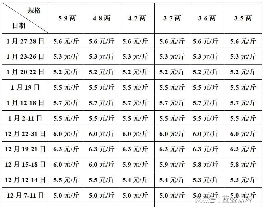 最新毛斤，引领时尚潮流的新宠