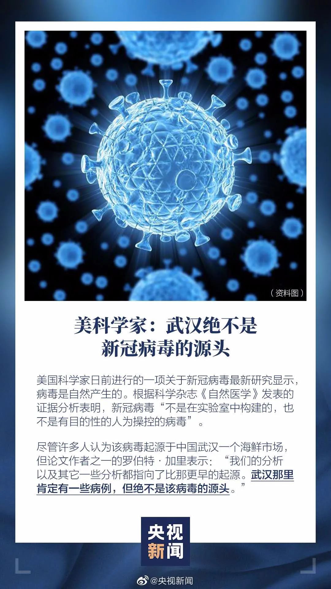 病毒起源最新论述探讨，病毒起源的最新研究与发展动态分析