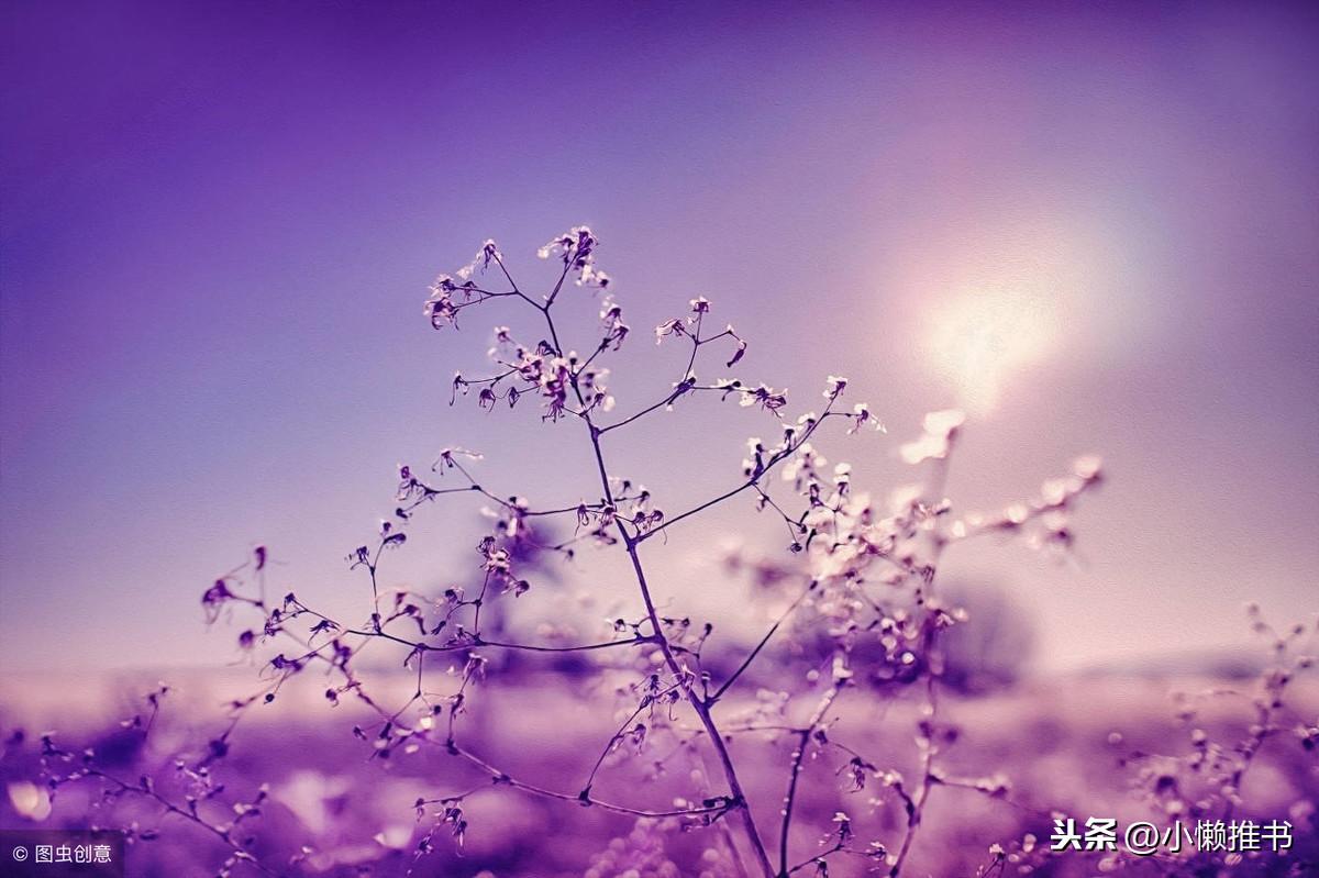 科技与神秘主义的最新捉鬼之旅