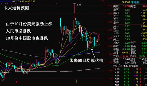 探索未知投资奇迹，最新股票预测与小巷中的隐秘宝藏