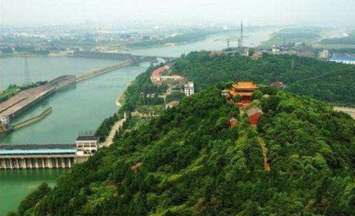 全国最新猪产业动态及行业趋势分析，市场现状与发展前景展望