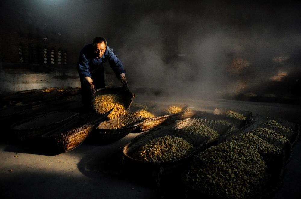 最新沉淀工艺,探索自然美景的轻松之旅