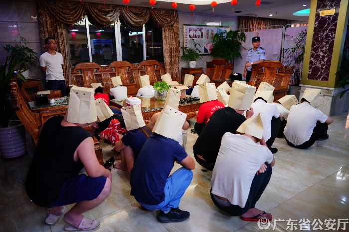 佛山扫黄行动,净化社会风气,守护青少年未来