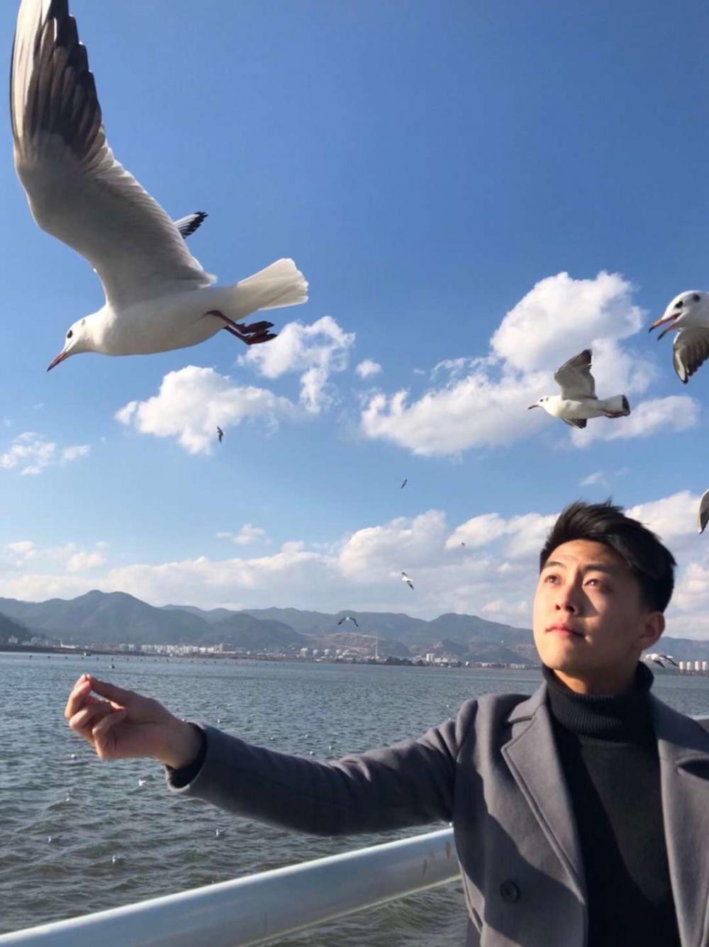 杨最新小说，自然之旅的心灵觉醒之旅