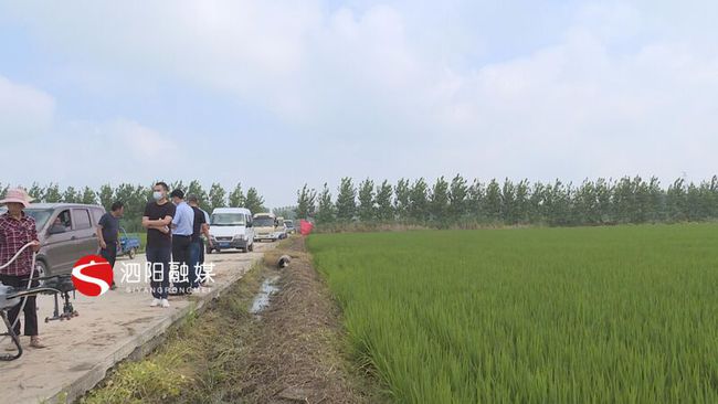 泗阳最新病,探索自然美景的邀请之旅