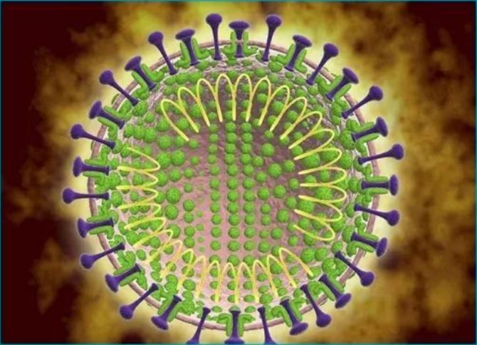 最新冠状异形,小巷深处的独特风味探索