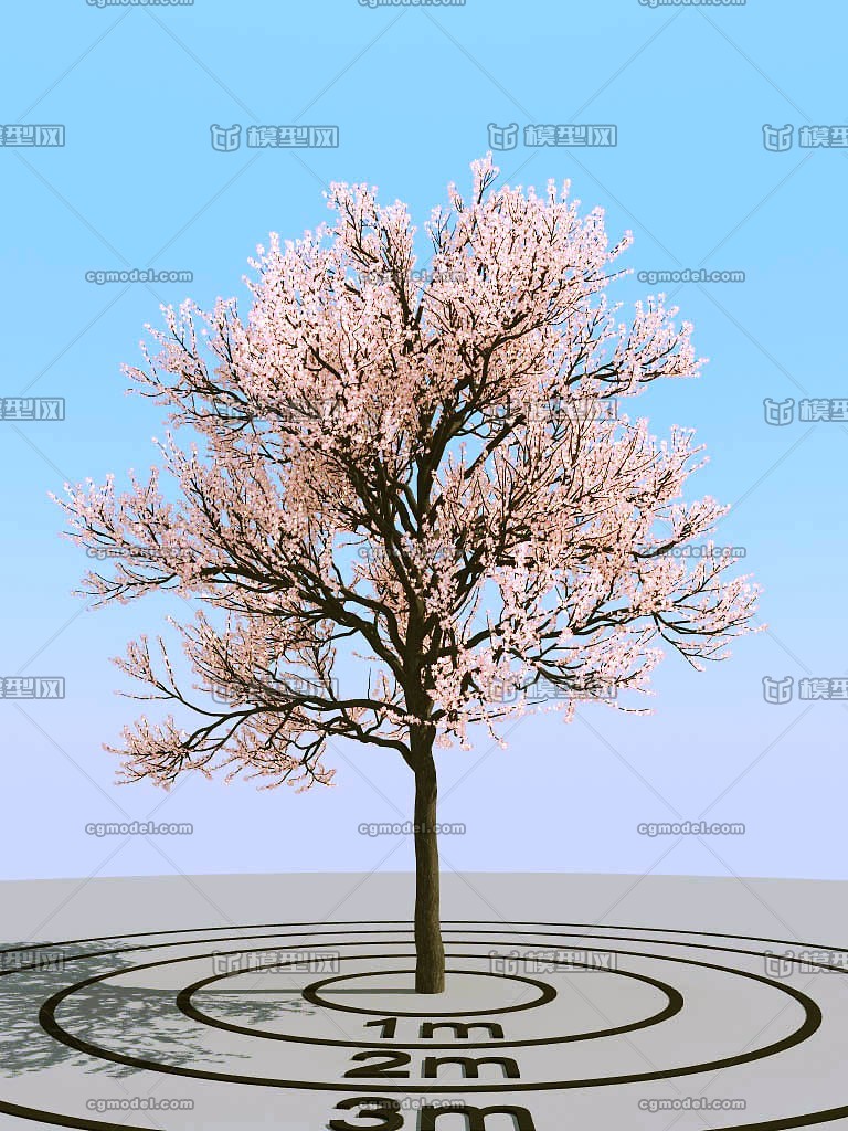 树模型最新进展,创新应用与科普知识解读