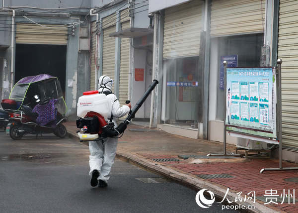 贵州最新疫情全面解读与关注