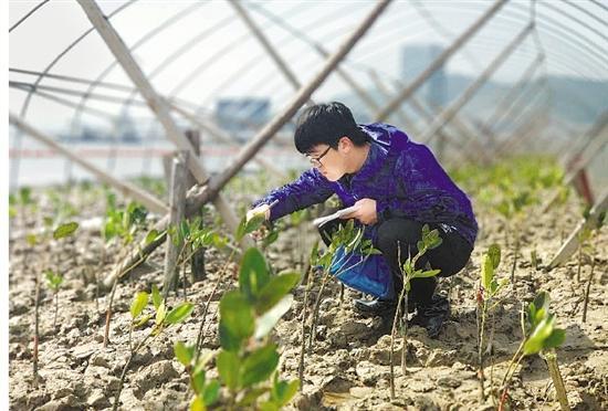 黄金最新动态，学习变化带来的自信与成就感黄金人生之路