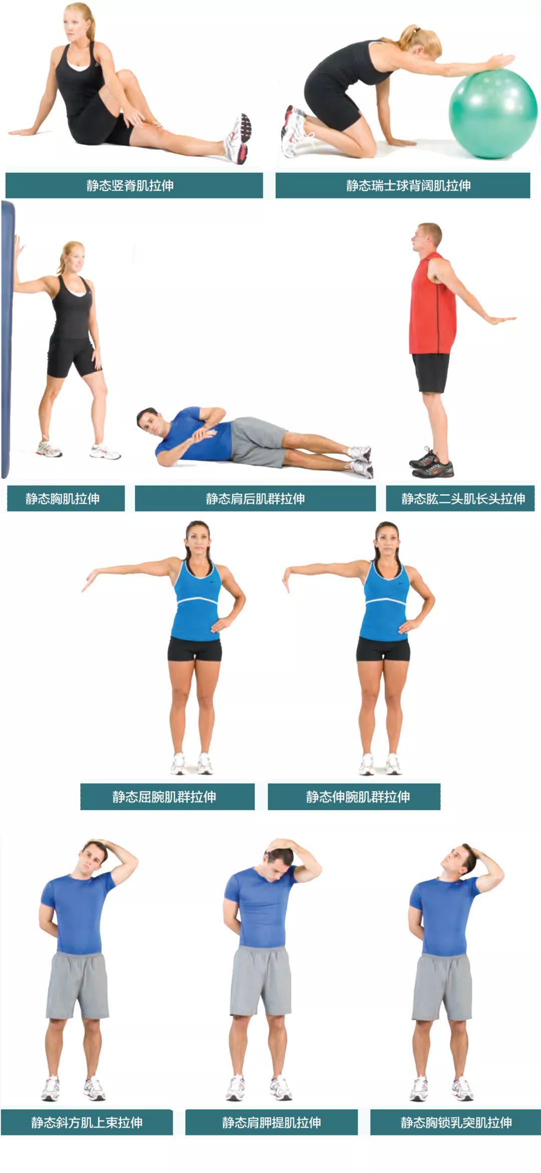 科技重塑生活，最新拉伸操体验极致拉伸之旅