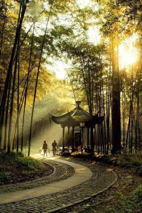 最新人间,友情与家的温馨日常