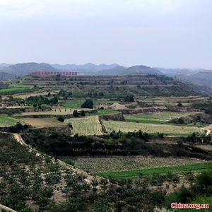 探索米脂新面貌,最新发展动态一览