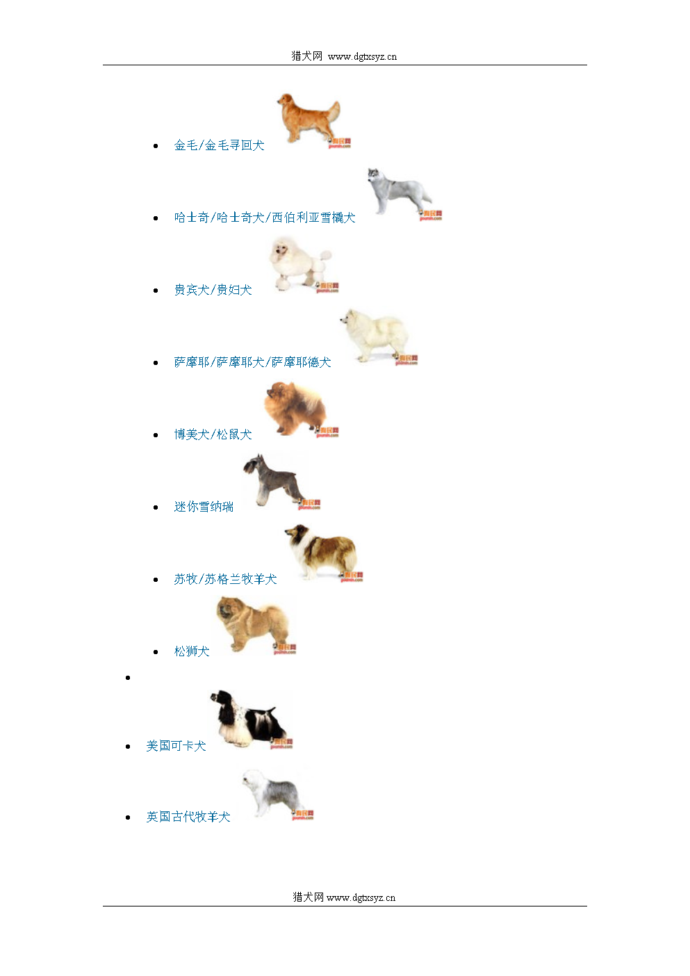 最新犬品种探索,自然美景的旅行之旅