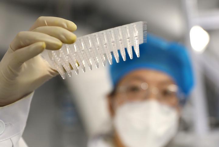 上海最新病历,心灵与自然的奇妙旅程