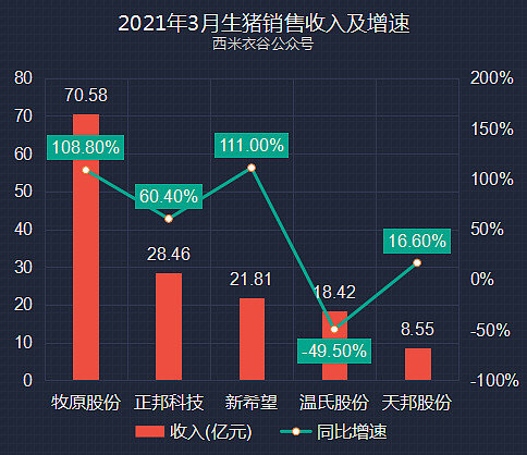 正邦最新动态,探索自然美景之旅,寻求内心平和宁静的旅程