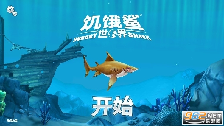 最新版的饥饿鲨,变化、学习与自信的力量之旅