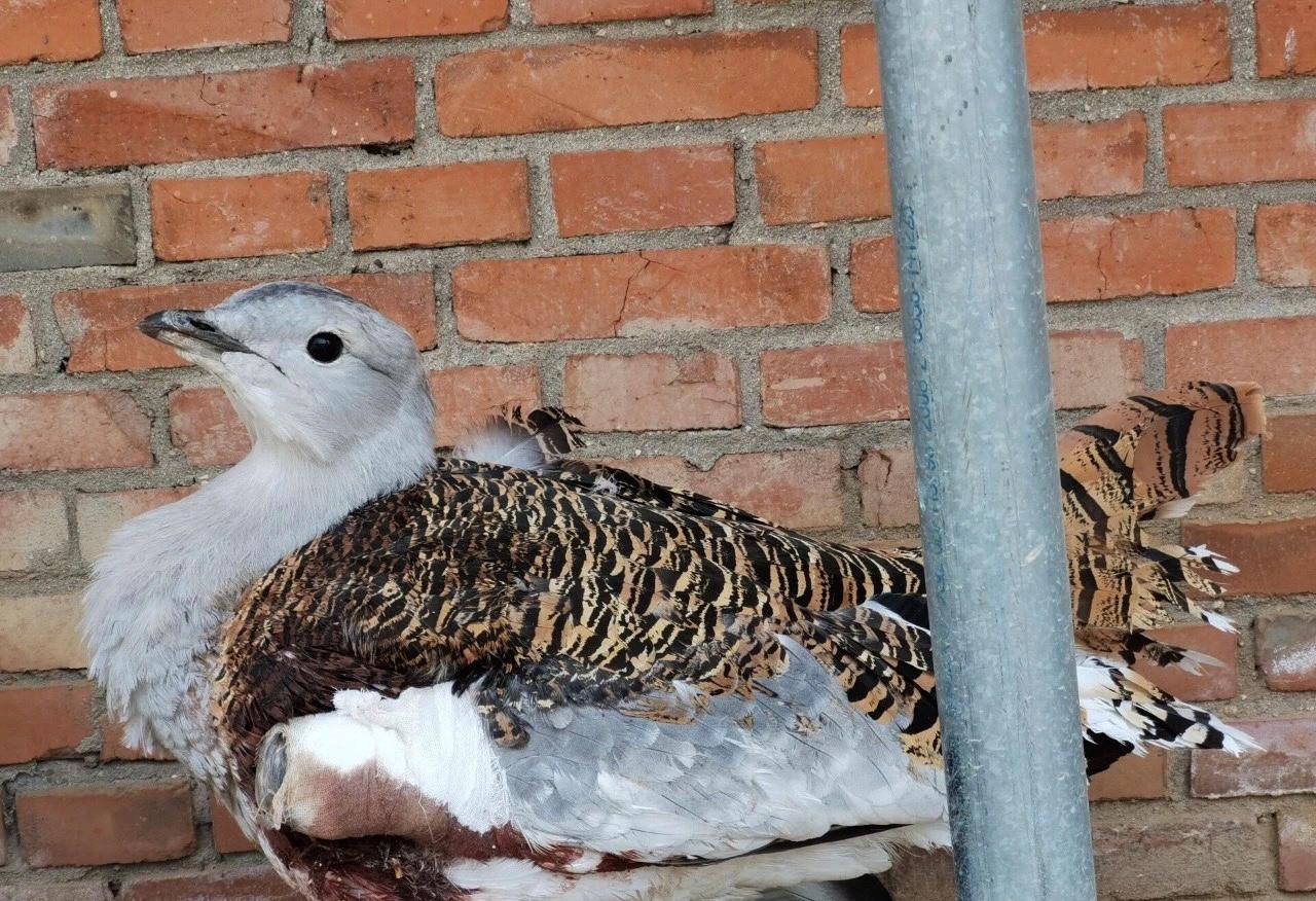 元氏小巷深处的独特风味,探访一家隐藏版特色小店的最新消息
