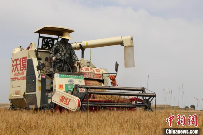 最新大型收割机引领时代农事变革