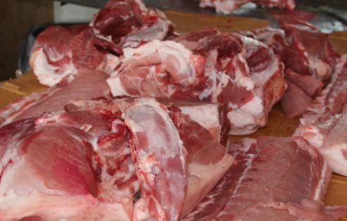 今日生猪最新价格及温馨趣事分享