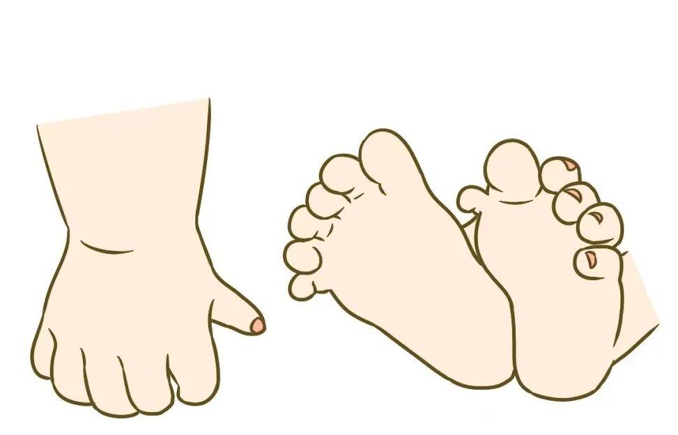 小巷深处的多趾最新手术奥秘之旅