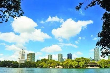 宁波最新十条,日常趣事与友情的温馨纽带分享