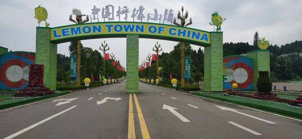 淄博柠檬小镇最新动态速递，全面指南