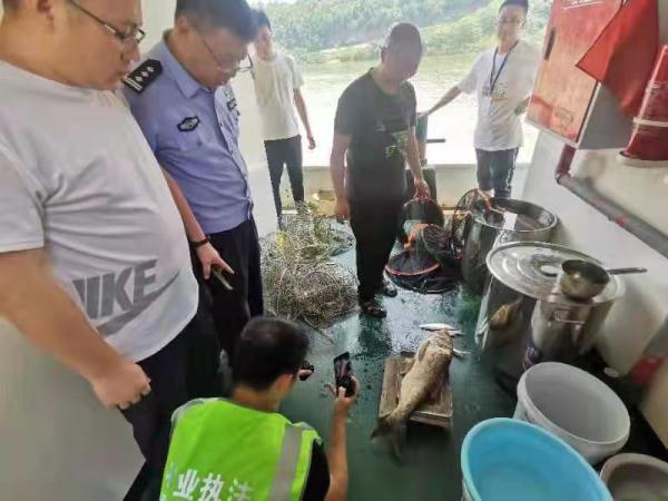 南充最新钓鱼胜地推荐，探索附近的钓鱼好去处