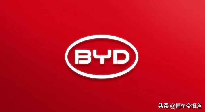 保险最新资讯与观点分析概览