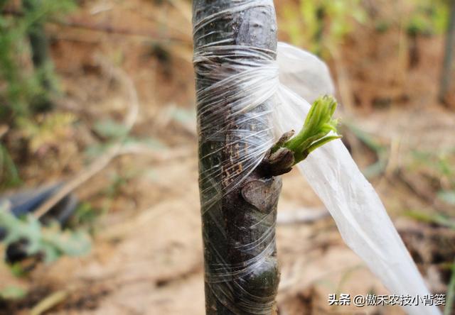 物联网设备研发 第423页