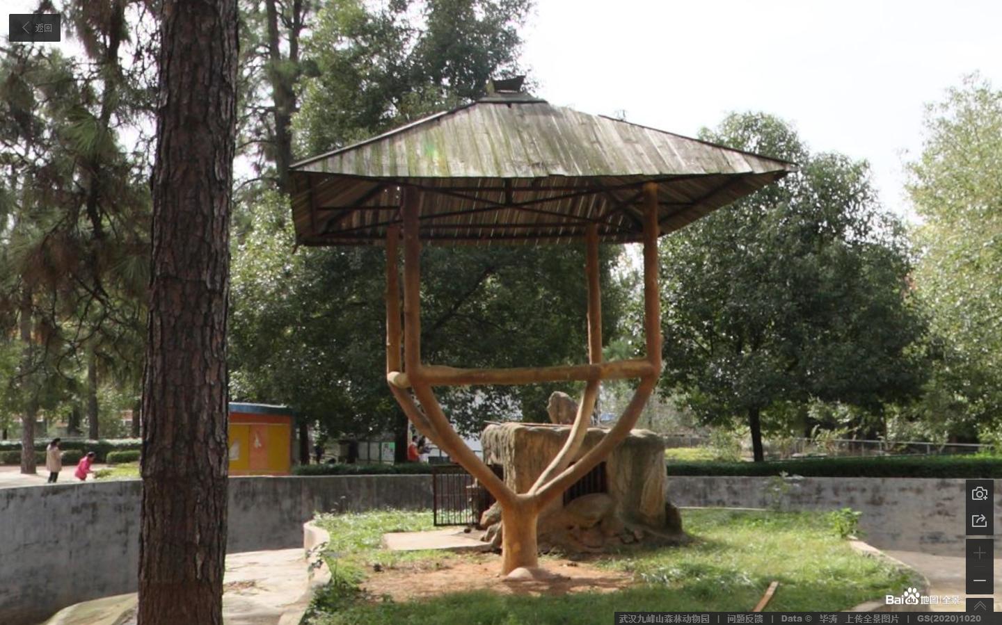 最新森林地图揭秘，巷弄深处的绿意秘境与小店奇谈