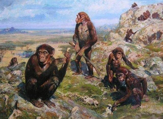 物联网设备研发 第420页