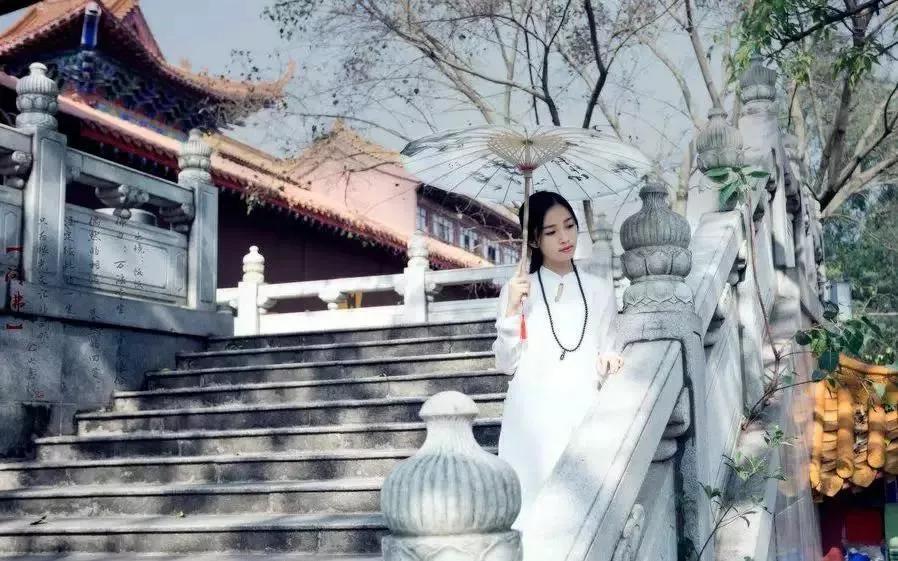 禅语心苑最新论述，探索禅语的新境界