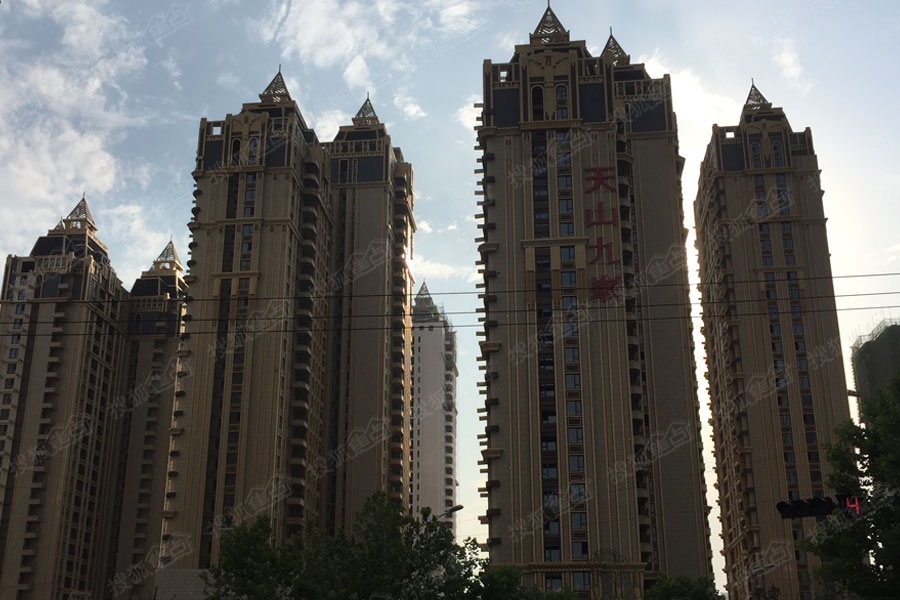 天山九峯最新价格揭秘,最新行情一览