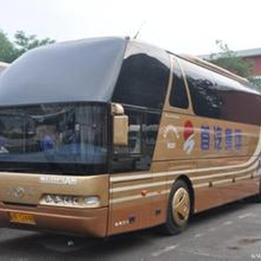 探寻宝鸡到安康大巴沿线隐藏的特色小店，小巷中的宝藏美食之旅