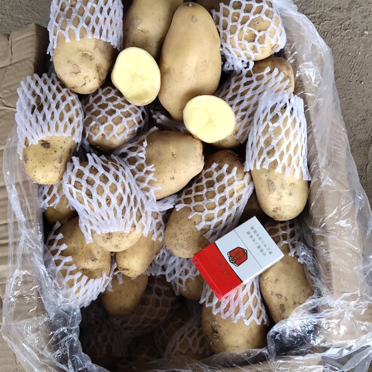 肥城冷库土豆最新价格及其背后的励志故事