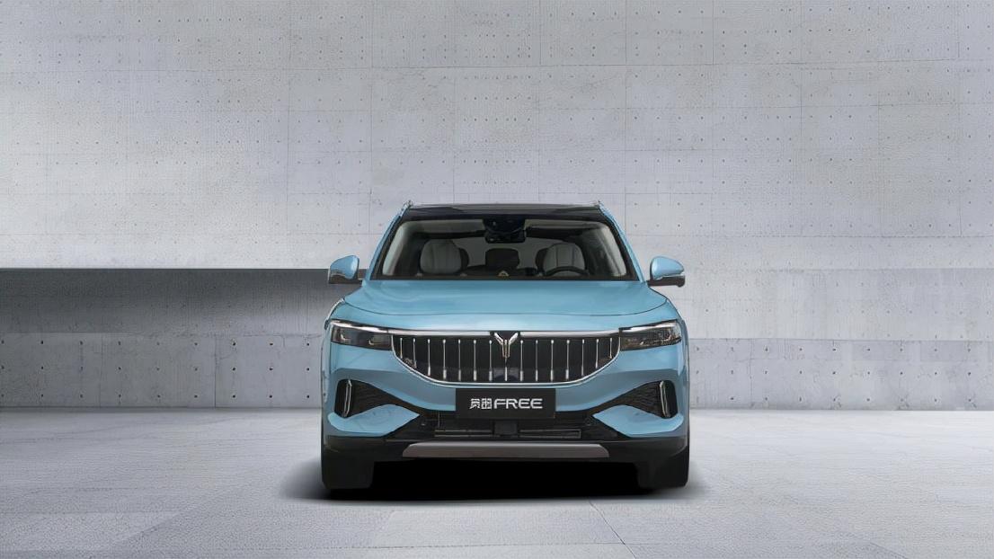 自主MPV最新车展，创新与传统碰撞的盛宴