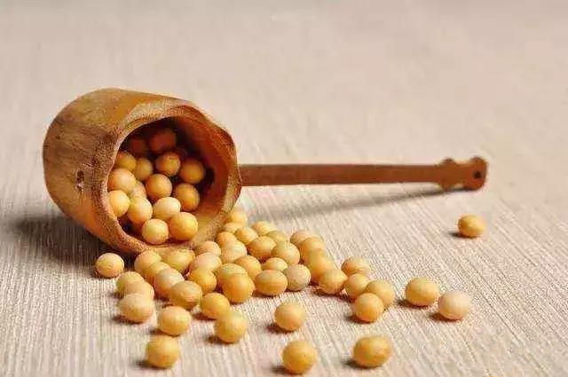 安徽阜阳大豆最新价格及自然美景探索之旅