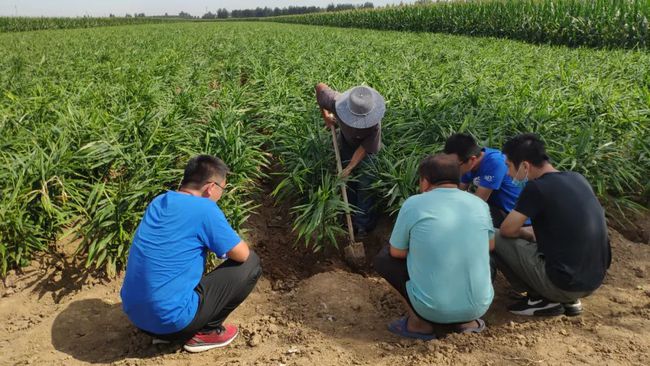 大姜最新论坛，温馨日常的交流与分享