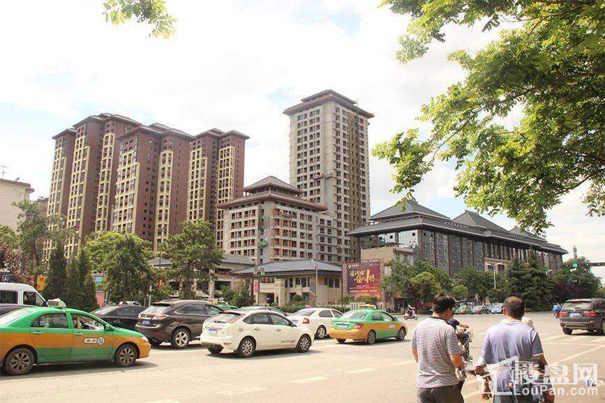 金叶新城最新事件全面解析，任务完成与技能学习指南