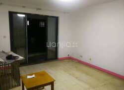 兴福镇最新租房动态，市场趋势、观点与个人立场解析