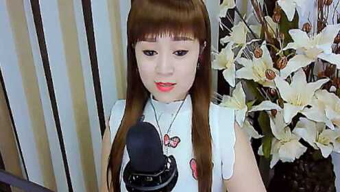 代理静儿最新视频,代理静儿最新视频，一场自然美景的心灵之旅，启程寻找内心的平和