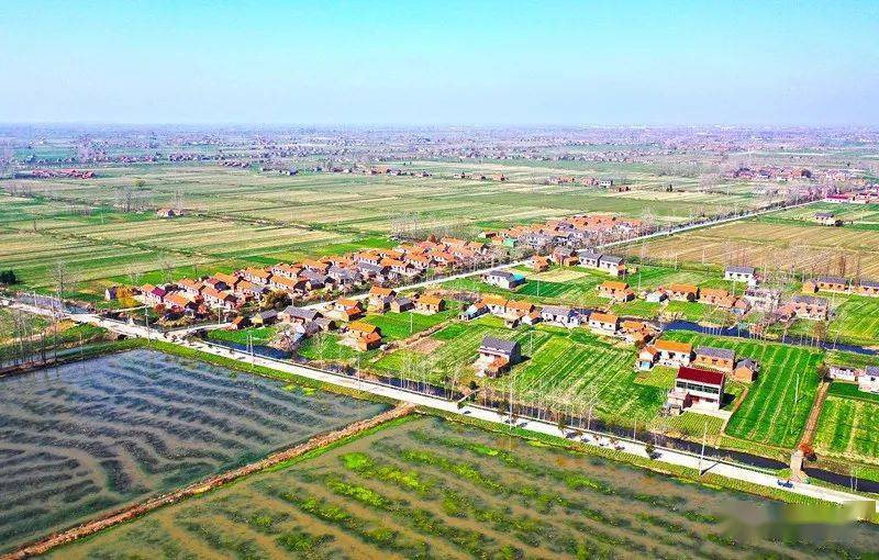 仲宫镇村庄最新规划详解，观点论述与深度分析