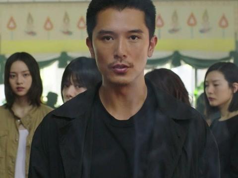 最新电视剧网剧，品质、流量与观众需求的完美交织