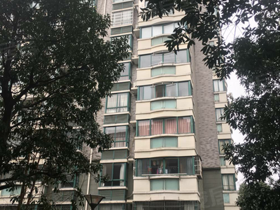 余姚江南最新房产拍卖探析